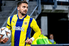 Dusan Tadic, Fenerbahçe