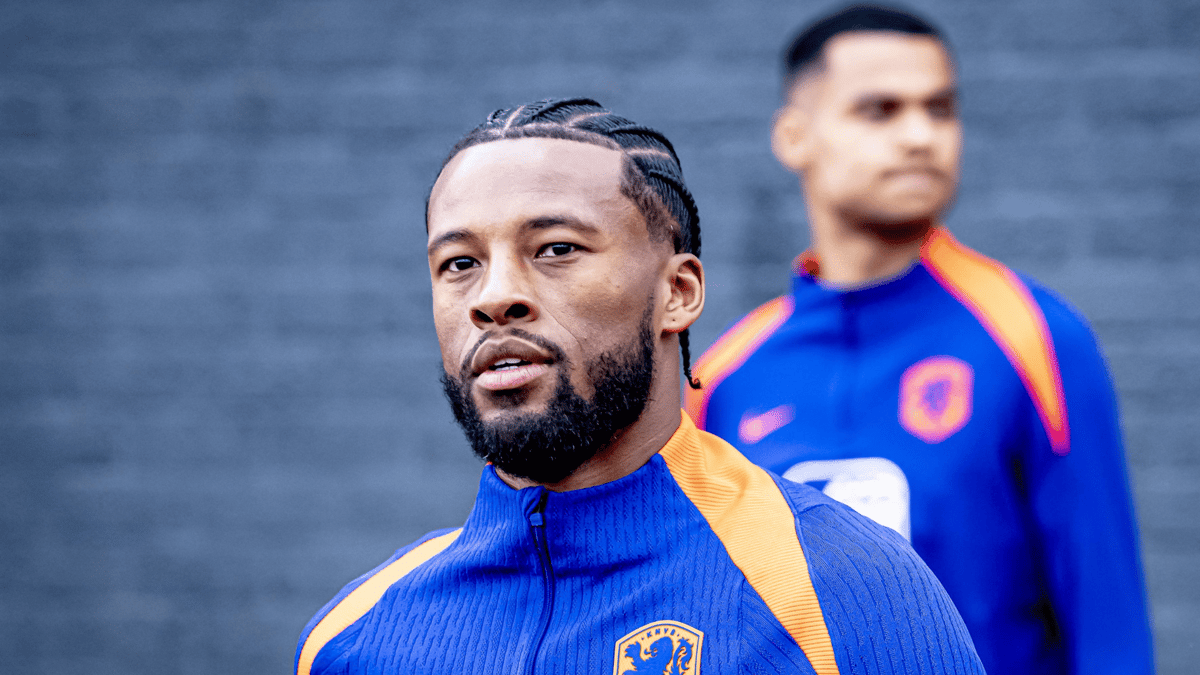 Georginio Wijnaldum, Oranje