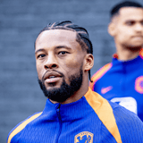 Georginio Wijnaldum, Oranje