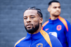 Georginio Wijnaldum, Oranje