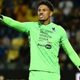 Maduka Okoye, Udinese, Nigeria, 2024