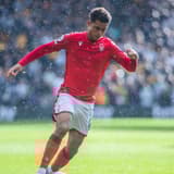 Brennan Johnson Forest