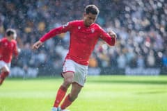 Brennan Johnson Forest