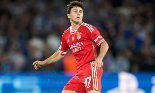 Joao Neves, Benfica