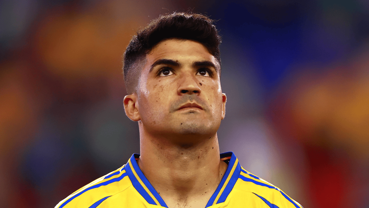 Nicolás Ibáñez
