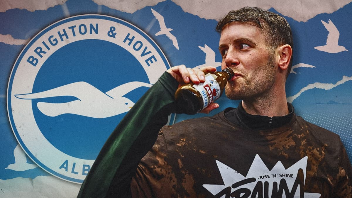 Fabian Hurzeler, Brighton