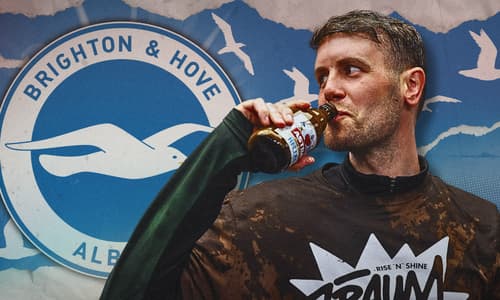 Fabian Hurzeler, Brighton