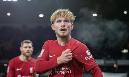 Liverpool star Harvey Elliott.
