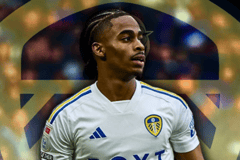 Crysencio Summerville, Leeds United