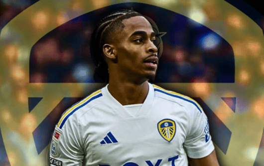 Crysencio Summerville, Leeds United