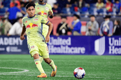 Frankie Amaya, New York Red Bulls