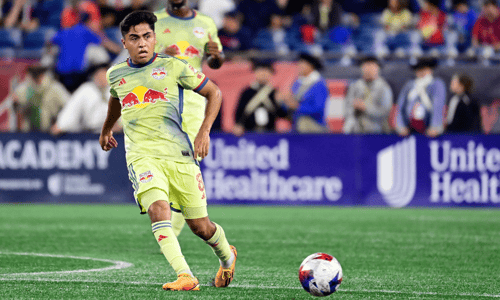 Frankie Amaya, New York Red Bulls