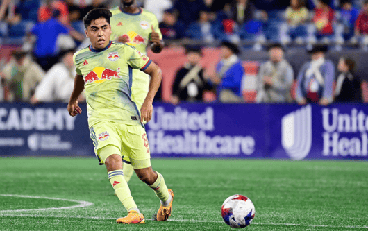 Frankie Amaya, New York Red Bulls