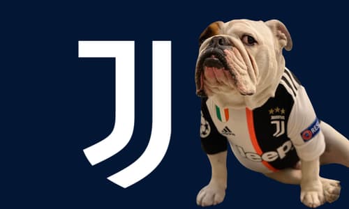 Juventus dog