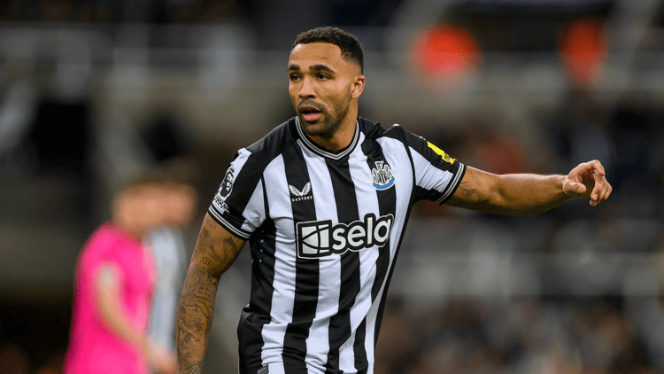 Callum Wilson has been prolific for Newcastle despite his injuries