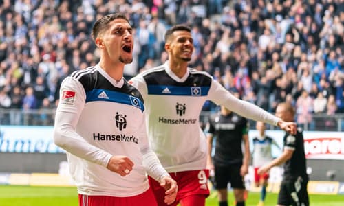 Ludovit Reis, HSV