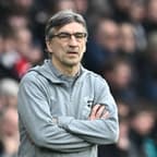 Ivan Juric, Southampton