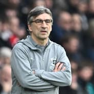 Ivan Juric, Southampton