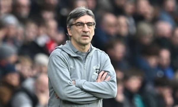 Ivan Juric, Southampton