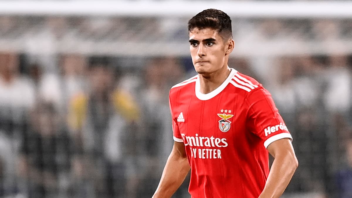 Antonio Silva for Benfica