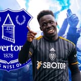 Wilfried Gnonto, Everton