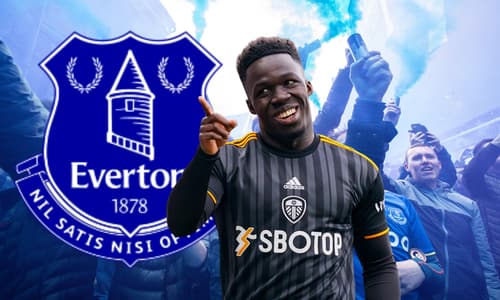 Wilfried Gnonto, Everton