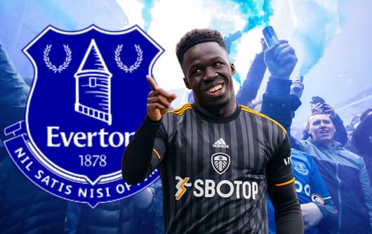 Wilfried Gnonto, Everton