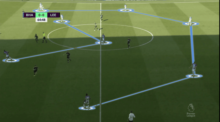 Brighton under Potter