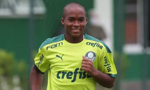 Endrick, Palmeiras