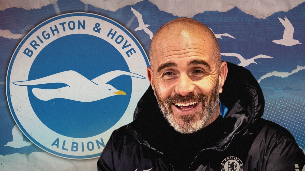 Enzo Maresca, Brighton