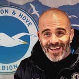 Enzo Maresca, Brighton