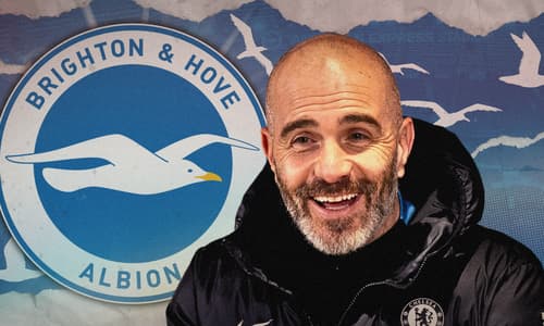 Enzo Maresca, Brighton