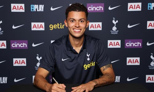 Brennan Johnson, Tottenham