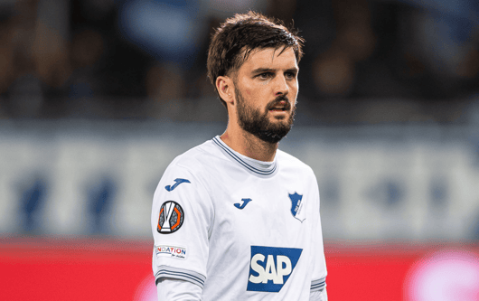 Florian Grillitsch, TSG Hoffenheim