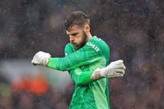 David de Gea in action for Manchester United