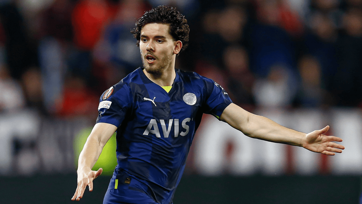 Ferdi Kadioglu, Fenerbahçe