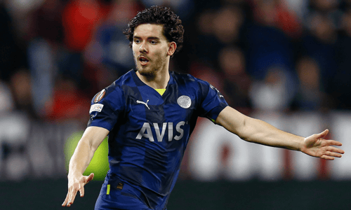 Ferdi Kadioglu, Fenerbahçe