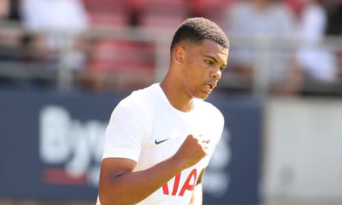 Young Tottenham star Dane Scarlett