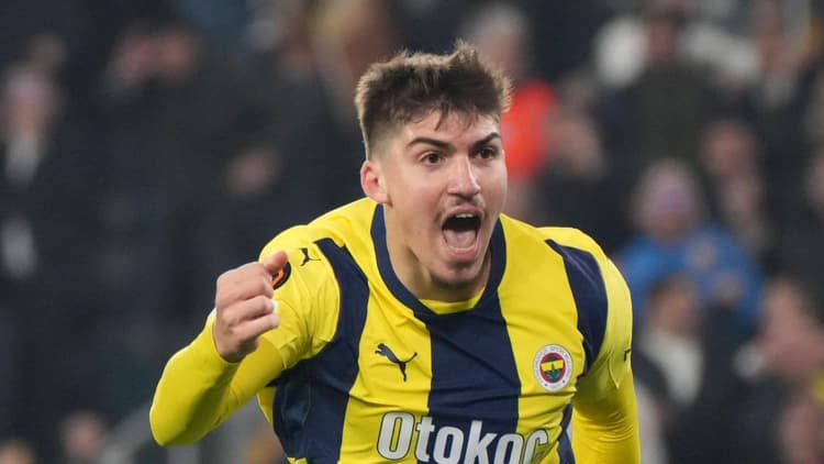 Yusuf Akcicek, Fenerbahce