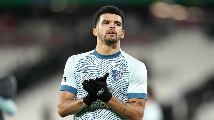 Dominic Solanke moved from Bournemouth during the summer