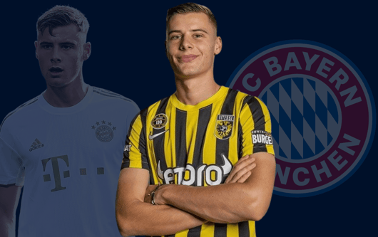 Gabriel Vidovic, Vitesse