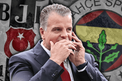 Dennis te Kloese, Besiktas, Fenerbahçe