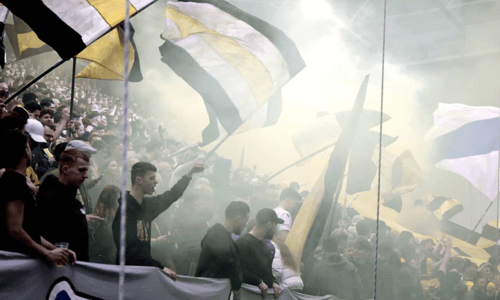Vitesse, Fans