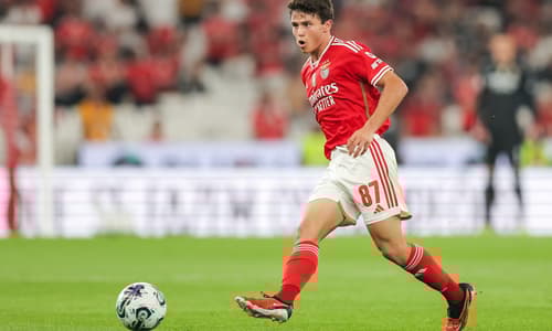 Joao Neves, Benfica
