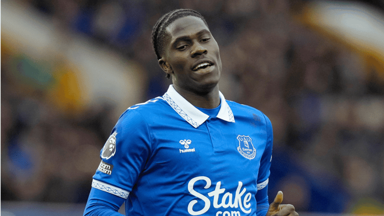 Amadou Onana, Everton