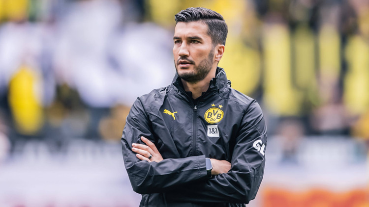 Nuri Sahin, Borussia Dortmund