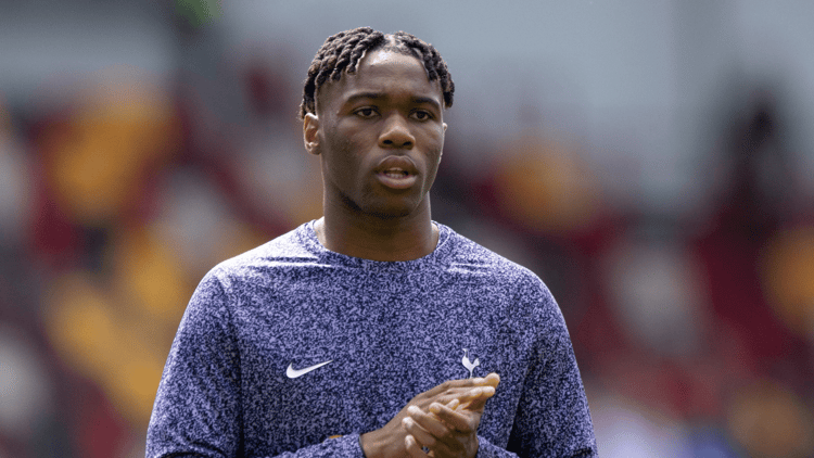 Destiny Udogie, Tottenham