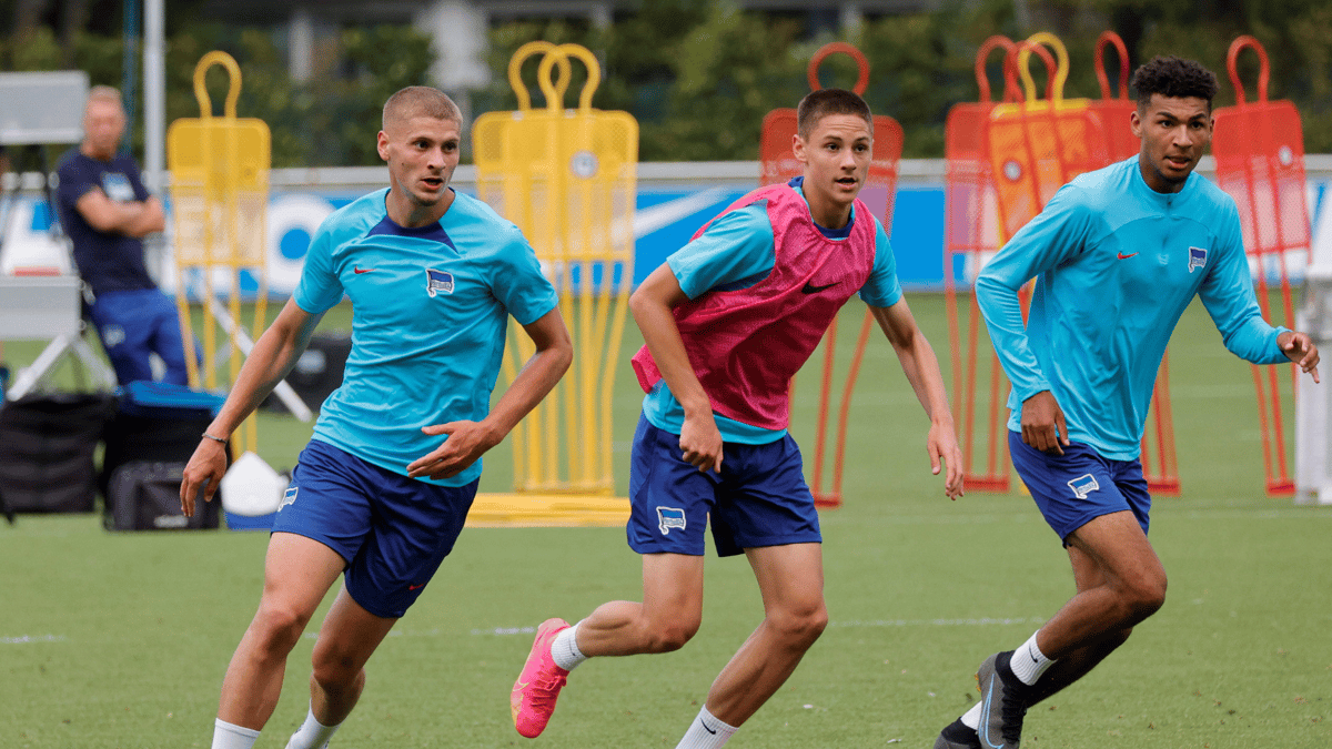 Bence Dardai, Hertha BSC