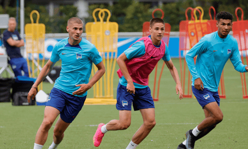 Bence Dardai, Hertha BSC