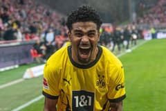 Ian Maatsen, Borussia Dortmund, 2023/24